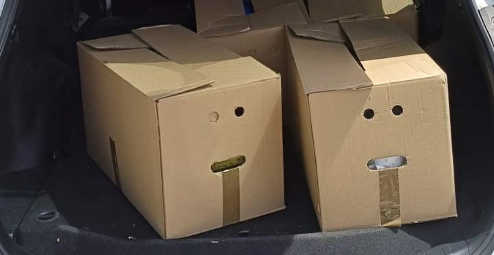 1212